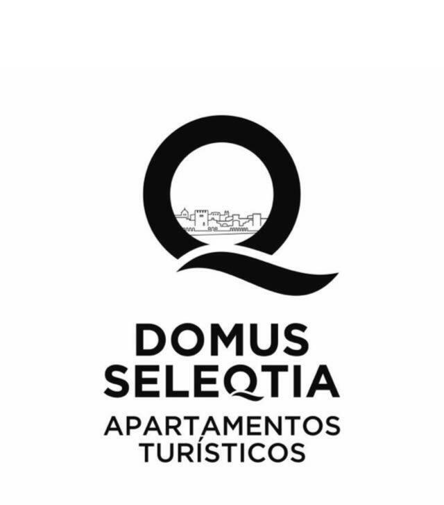 Caces Domus Seleqtia Plaza De Santiago 아파트 외부 사진